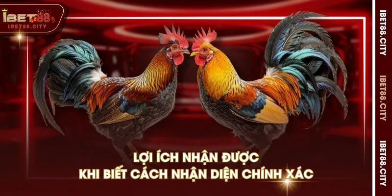 Lợi ích nhận được khi biết cách nhận diện chính xác