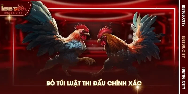 Bỏ túi luật thi đấu chính xác