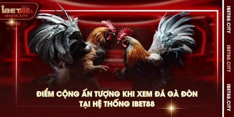 Điểm cộng ấn tượng khi xem đá gà đòn tại hệ thống IBET88