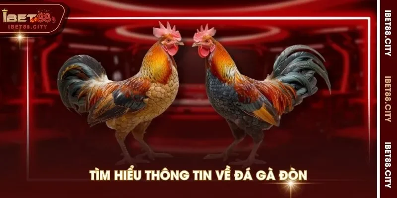 Tìm hiểu thông tin về đá gà đòn